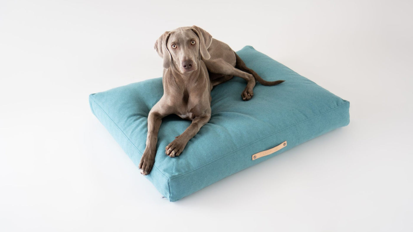 Copenhagen Cushion - Azure