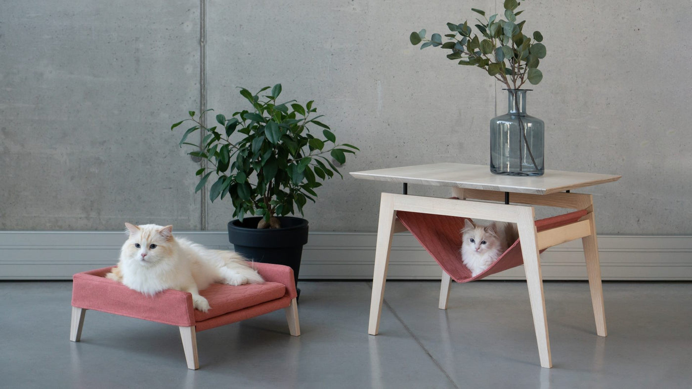 Kikko Table & Lulu Bed for Cat - Raspberry