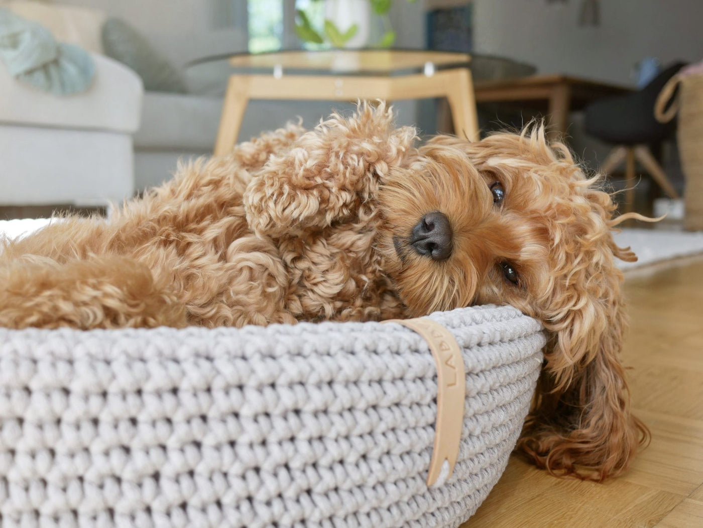Lukko Dog Bed - Light Grey