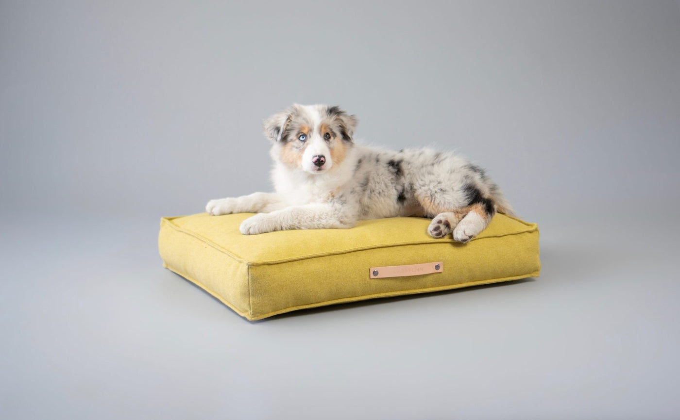 Møvik Cushion - Honey