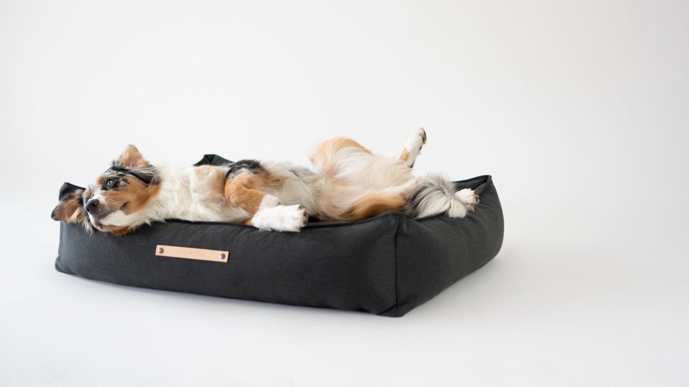 Töve Dog Bed - Anthracite