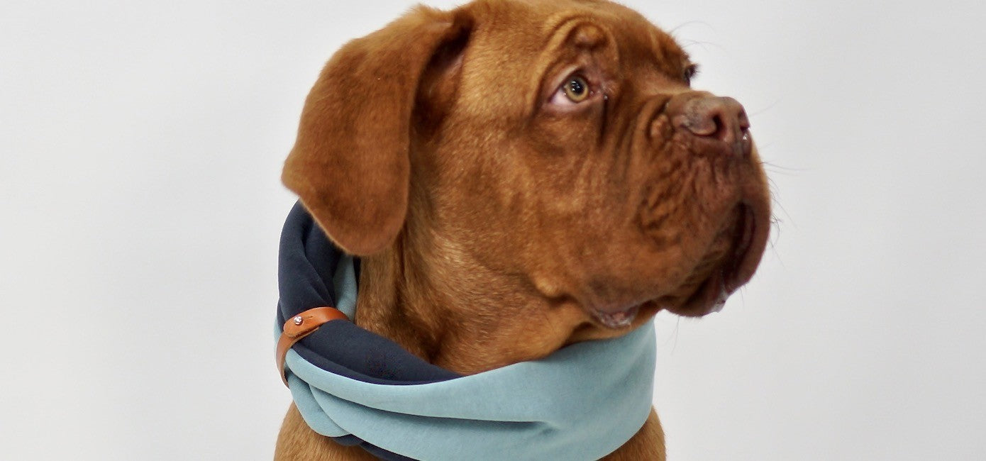 Simo Neck Warmer - Turquoise & Iron 